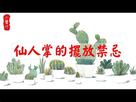 仙人掌放後陽台|仙人掌後陽台風水妙用